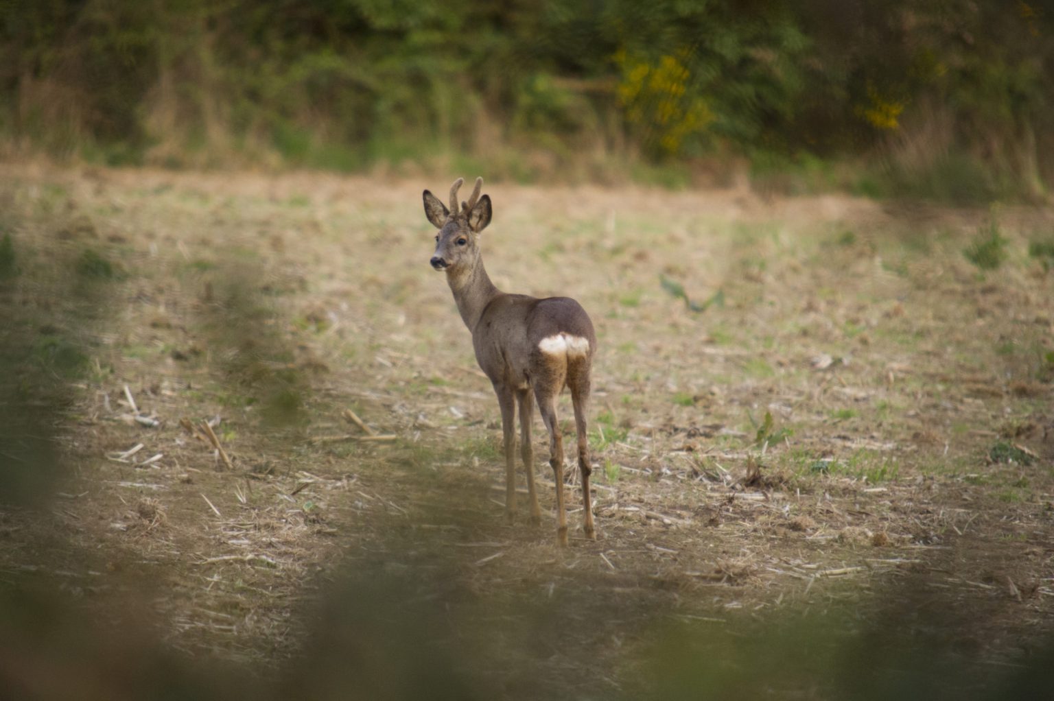 CLJ_5993_228_small