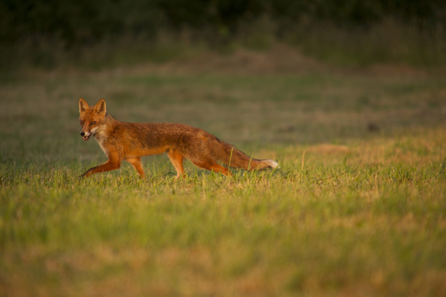 CLJ_8345_245_small