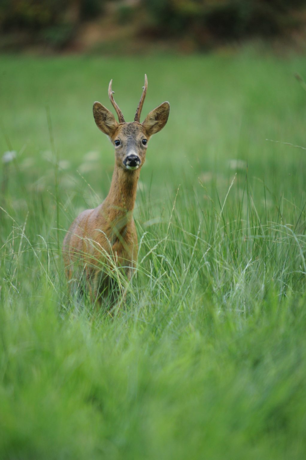 CLJ_9939_253_small