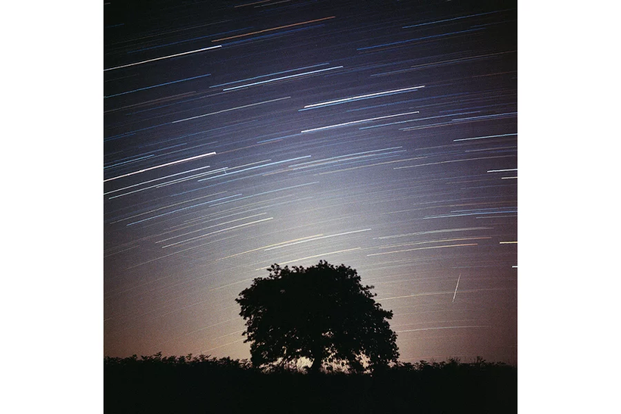 Fillé d'étoiles et étoile filante I Centre Bretagne